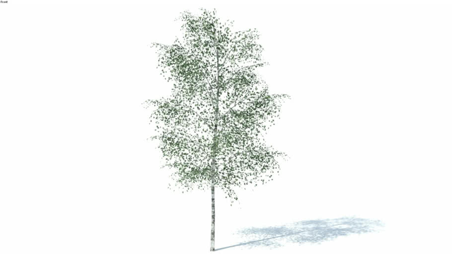 TREES