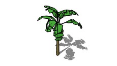Plantas