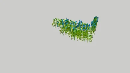 plants
