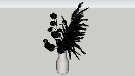vaso