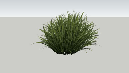 plantas colgantes