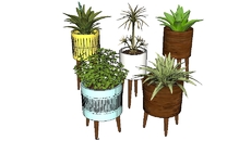 PLANTAS 