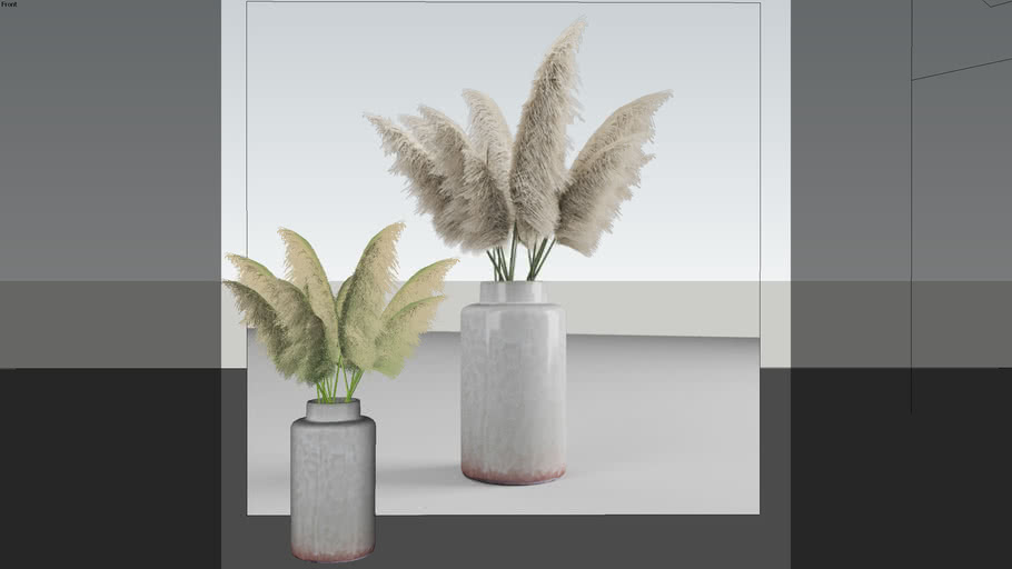 Plantas