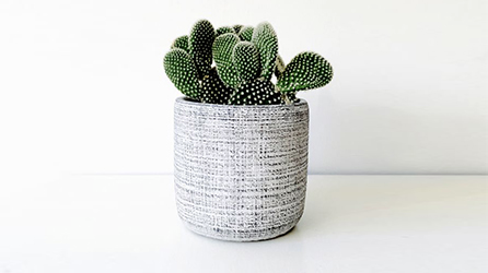PLANTAS INTERIORES