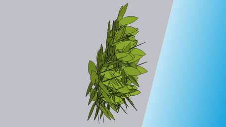 Vegetación y Macetas