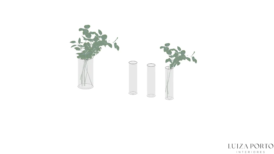 Vasos de vidro com eucalipto