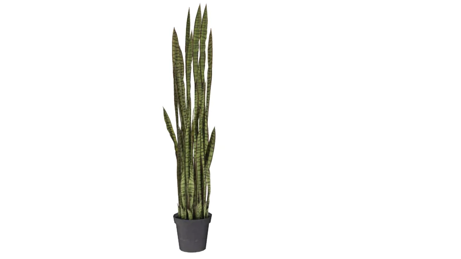 60718 Deco Plant Sansewieria 155cm