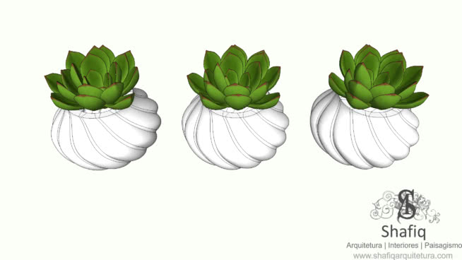 plants
