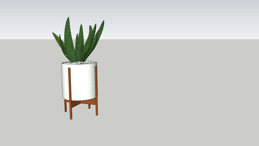 Indoor plants