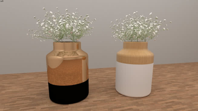 plantas