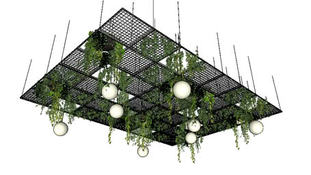 Plants - Hanging & Vertical