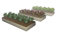 farm