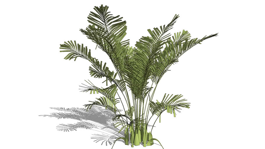 Plantas
