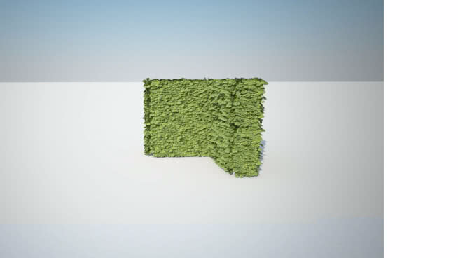 moss