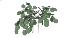 PLANTAS DECO ZE
