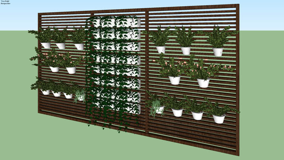 Plants - Outdoor