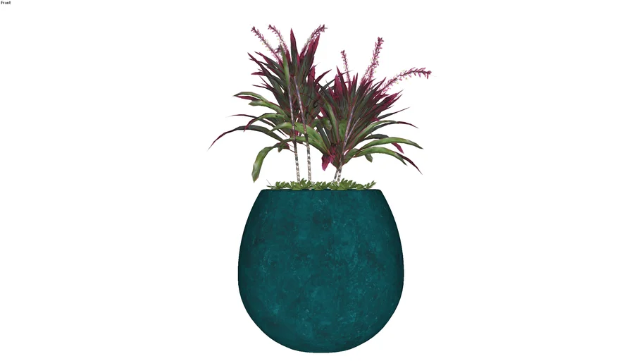 Plant- bowl