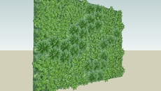 Plants & Flowers