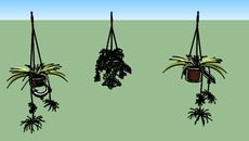 Plantas e vasos