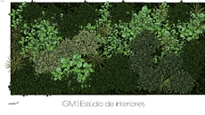 Green wall & Plants