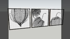 QUADROS