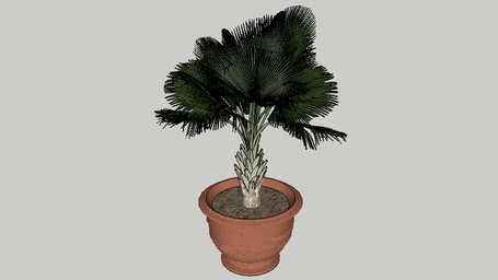 PLANTES