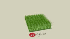 Cesped