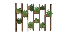Plantas