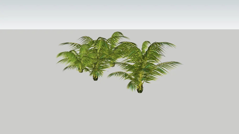 2 palm trees