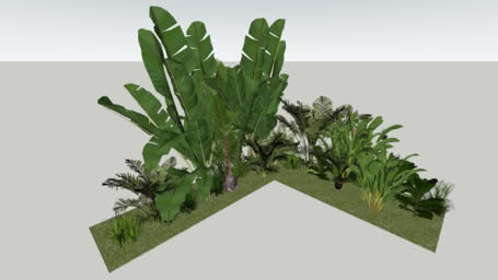 VEGETAÇÃO
