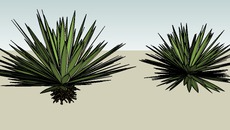 Paisagismo