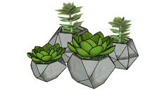 Plantas