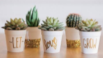 VASOS E FLORES