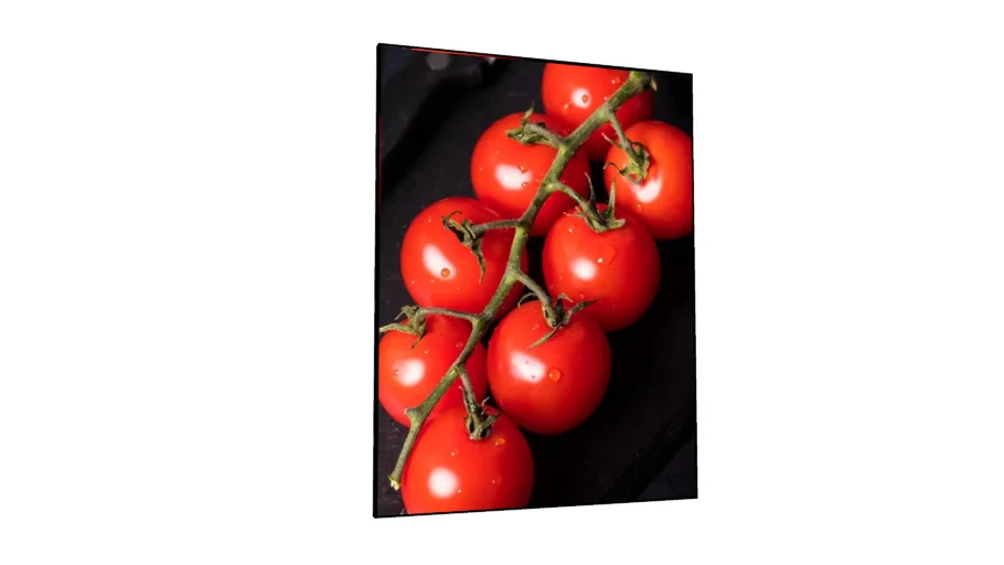 Quadro Decorativo TOMATE CEREJA COM GOTICULAS DE AGUA SOBRE A MESA de Adriano Siker para Urban Arts