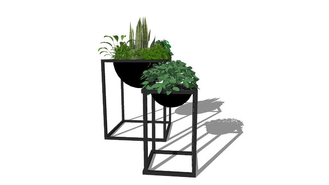 vegetação e decor