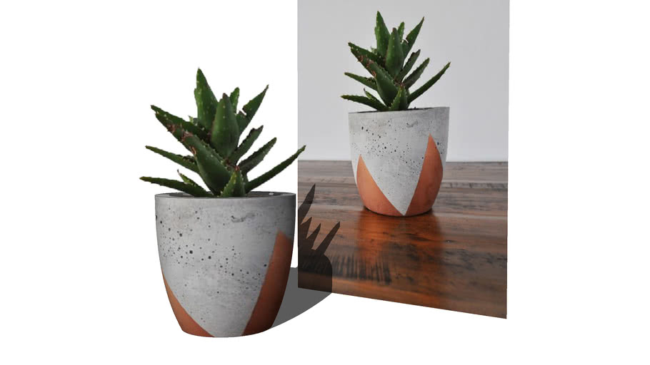 Plants
