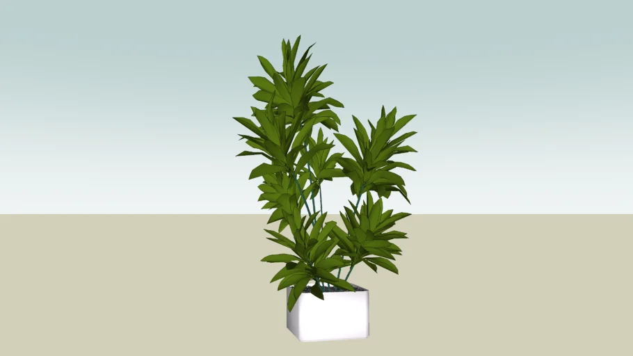 TREE POT