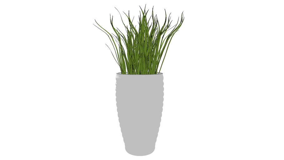 PLANTS
