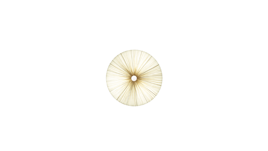 Large Wall and Ceiling Light Sizes