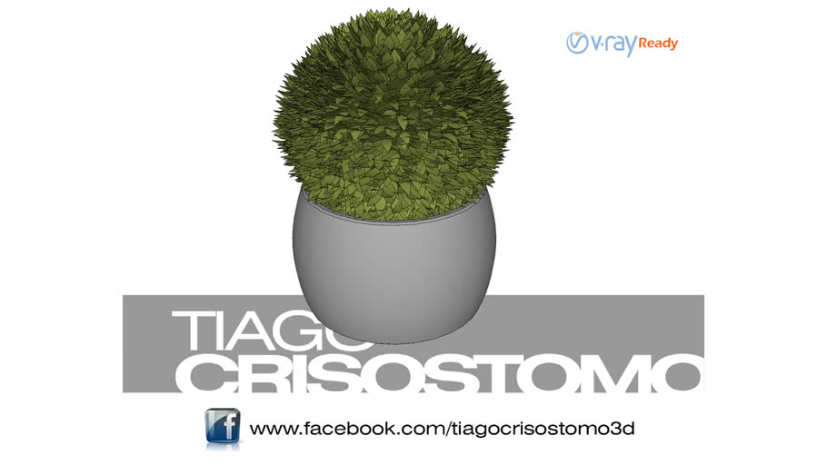 Plantas