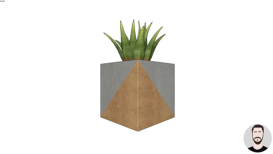 Vasos Plantas
