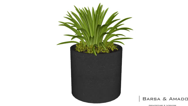 POTS/LIVING WALL