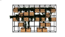 Plants/Plant Accessories
