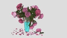 DECORACAO