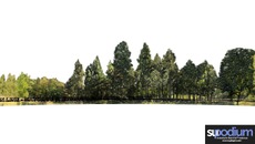 backgrounds