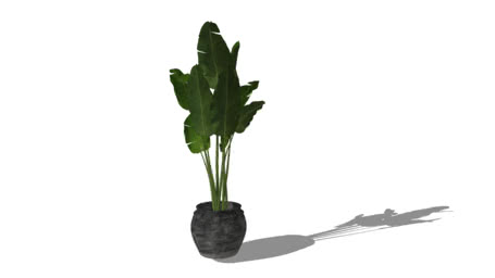 VEGETACIÓN