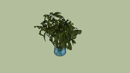 PLANTAS
