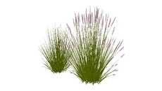 Plantas