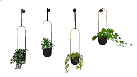 PLANTS