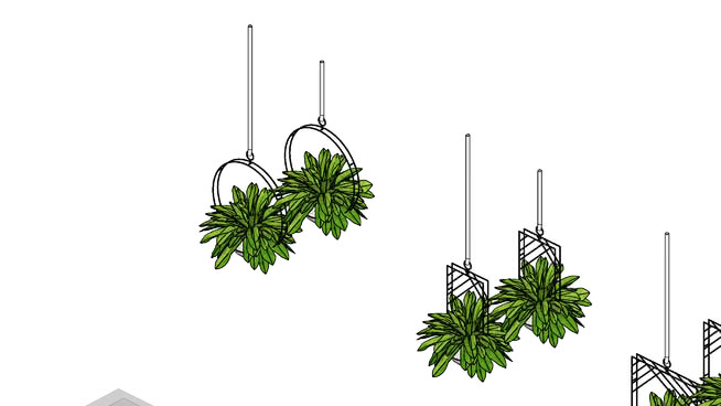 decor plantas